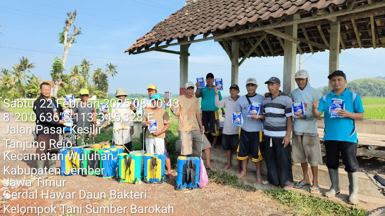 gerakan-pengendalian-hawar-daun-bakteri-tanaman-padi-di-kelompok-tani-sumber-barokah-desa-tanjungrejo-wuluhan