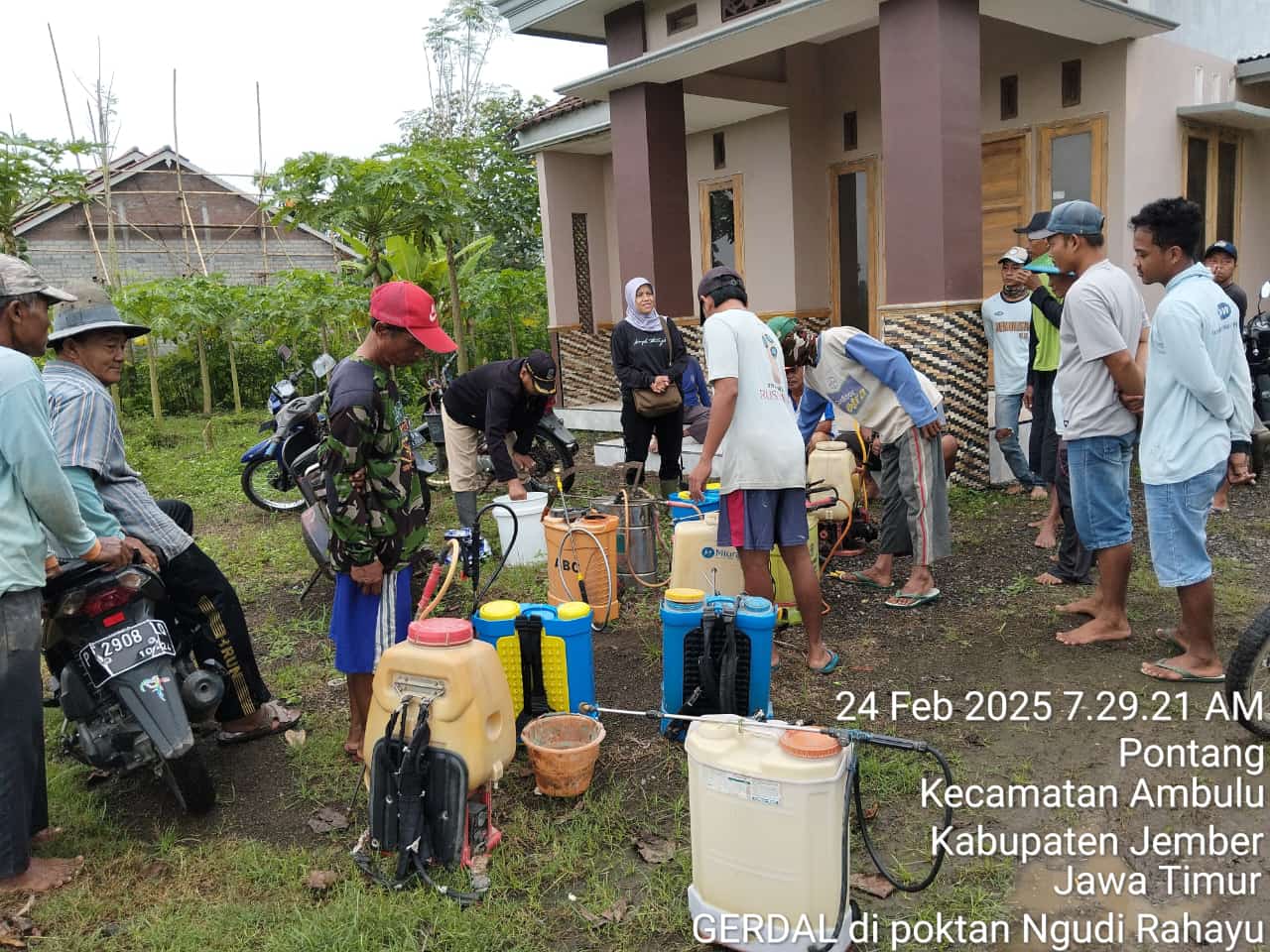 gerakan-pengendalian-hawar-daun-bakteri-tanaman-padi-di-kelompok-tani-ngudi-rahayu-desa-pontang-ambulu