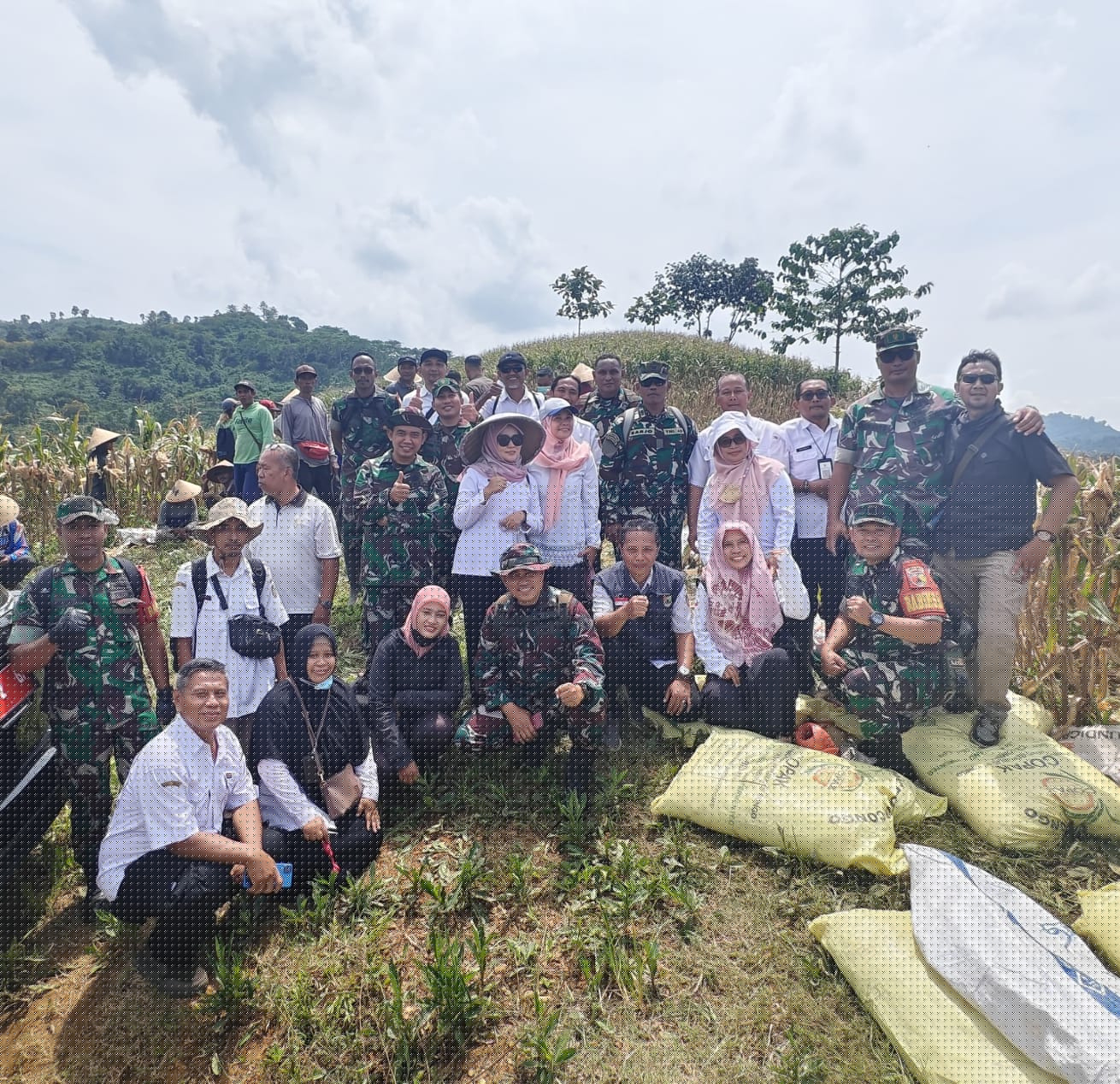 panen-jagung-p3n-bersama-forkopimda