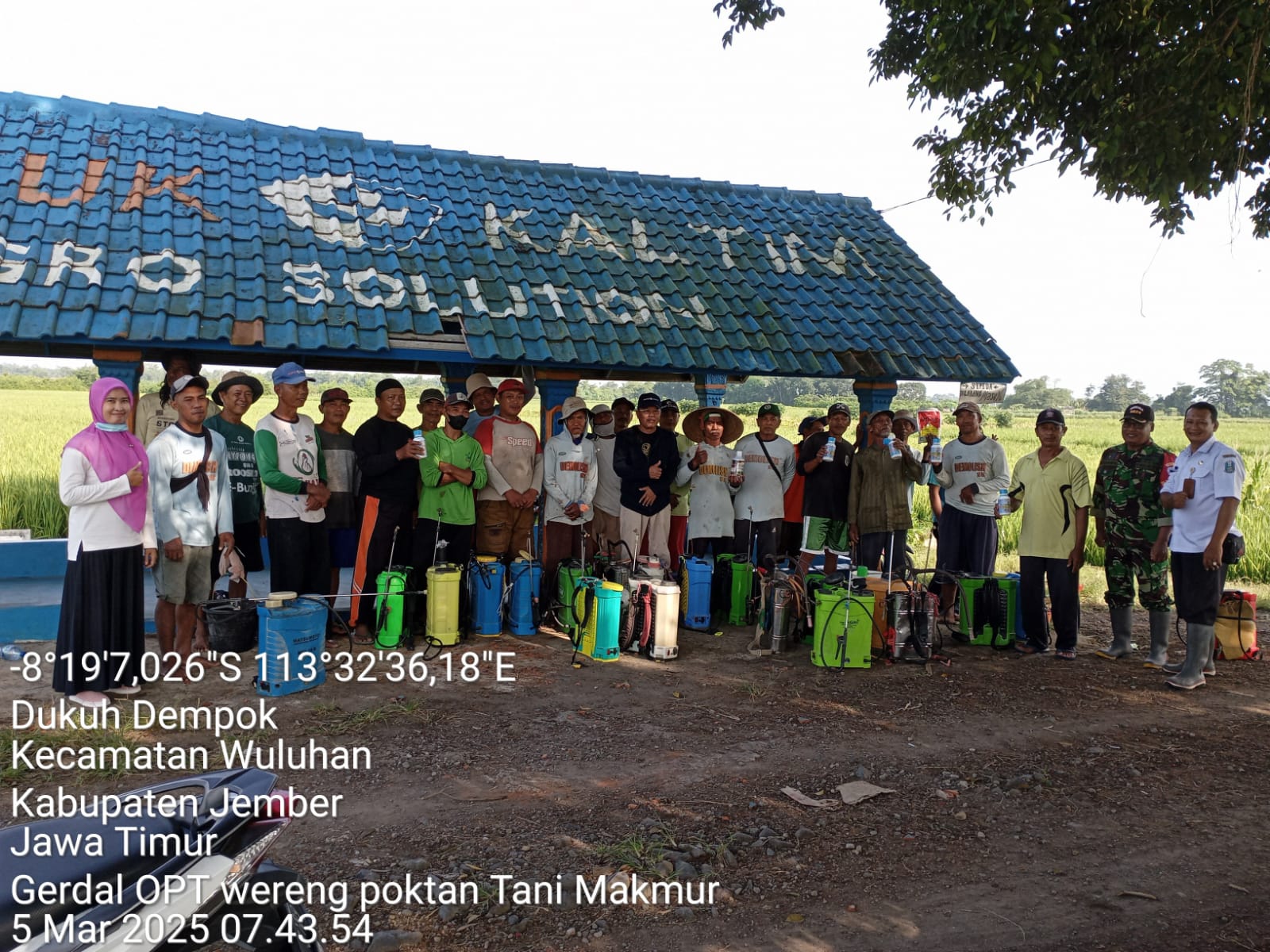 gerakan-pengendalian-gerdal-wereng-batang-coklat-poktan-tani-makmur-desa-dukuhdempok-kecamatan-wuluhan
