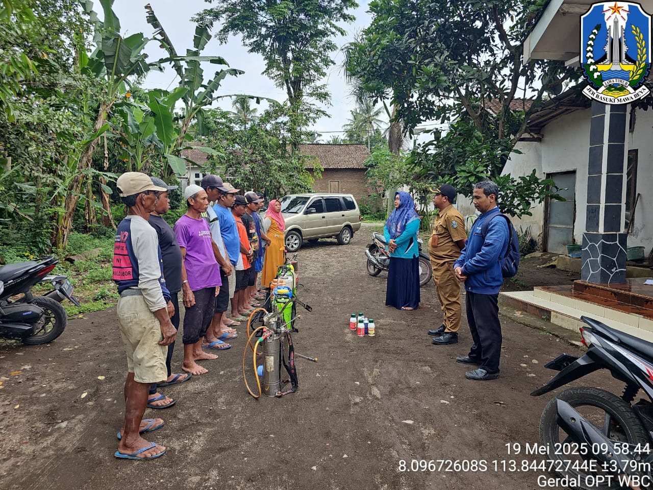 gerdal-wbc-poktan-sukorejo-desa-sukorejo-kecamatan-sukowono