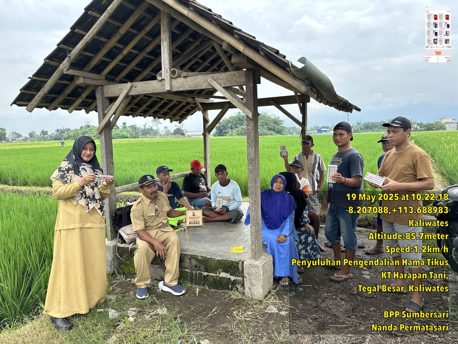 pengendalian-hama-tikus-poktan-harapan-tani-tegal-besar-kaliwates