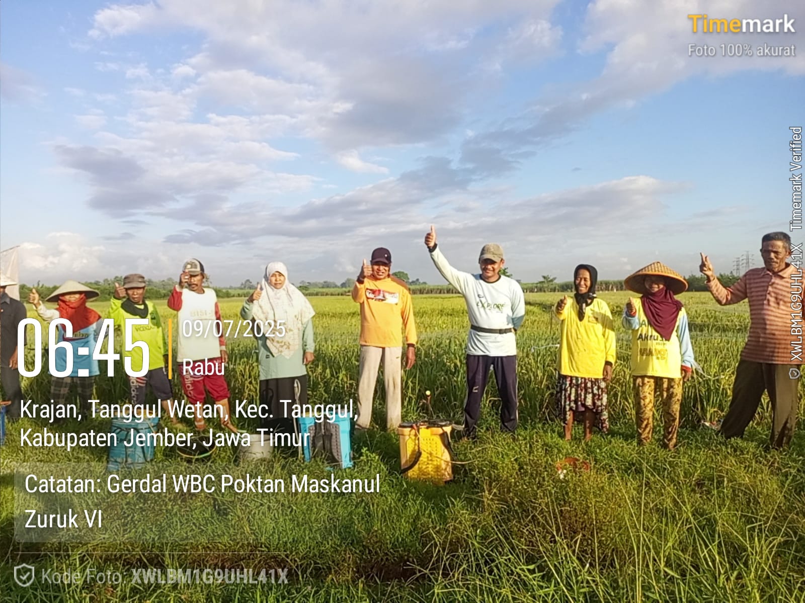 giat-bpp-tanggul-dtphp-kab-jember-di-poktan-maskanul-zuruk-vi-desa-tanggul-wetan