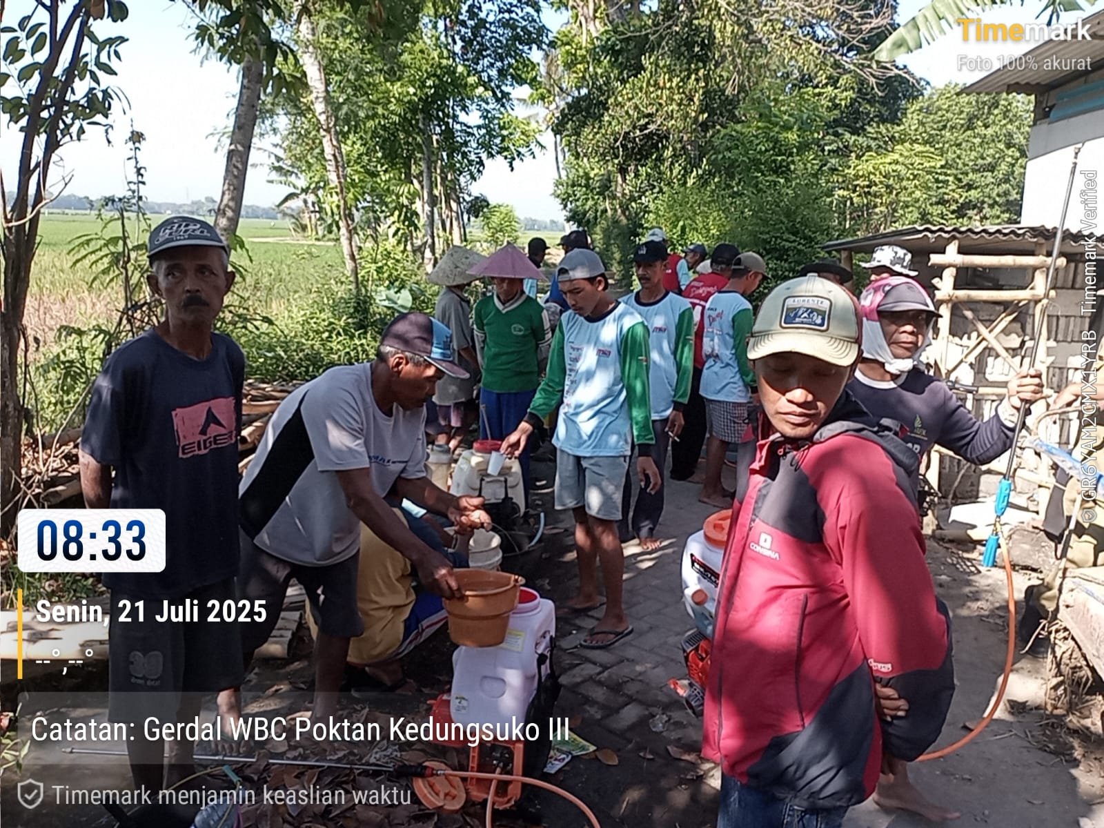 pengendalian-bersama-hama-wereng-batang-coklat-di-kelompok-tani-kedungsuko-iii-bangsalsari