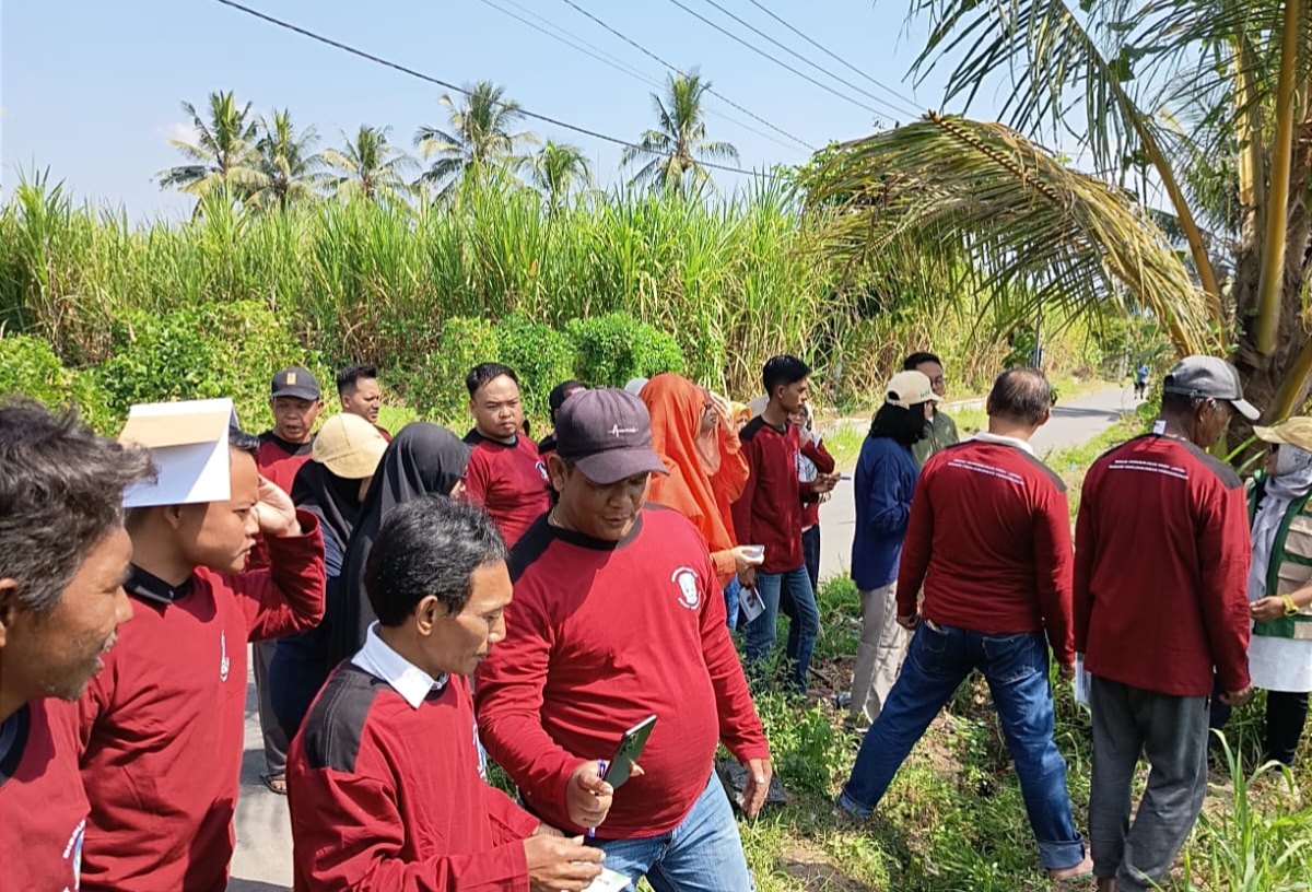 pemberdayaan-petani-jadi-fokus-utama-ppht-tembakau-perdana-di-jawa-timur-petani-diajak-menjadi-ahli-di-lahannya-sendiri